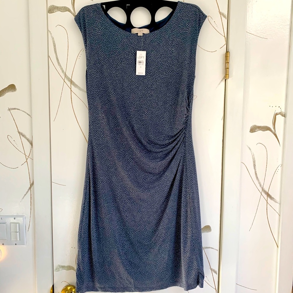 Ann Taylor LOFT Side Shirred Lined Knit Dress